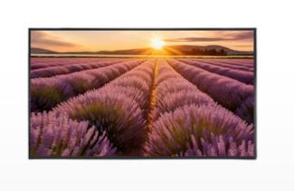 ECRAN LED 43" 4K 24/7 VESA 400*400, HDMI,VGA, USB,BNC + HP TECLINK