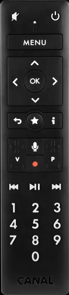 TELECOMMANDE CANAL+ POUR TERMINAL G9