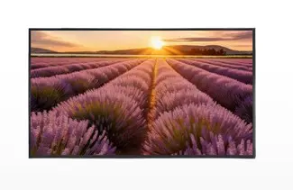 ECRAN LED 43" 4K 24/7 VESA 400*400, HDMI,VGA, USB,BNC + HP 60HZ TECLINK